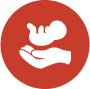 Pregnancy