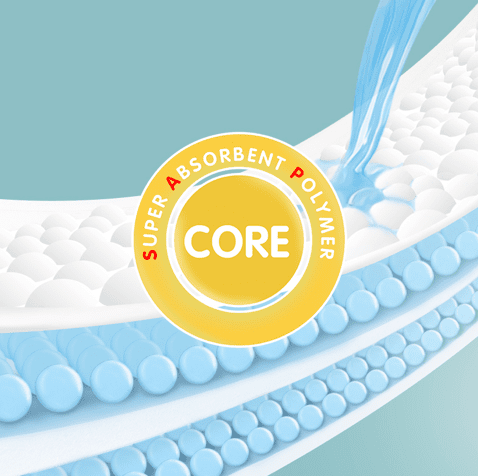 Teknologi SAP Thin Core