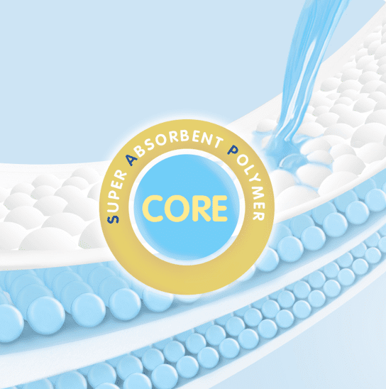 Teknologi SAP Thin Core